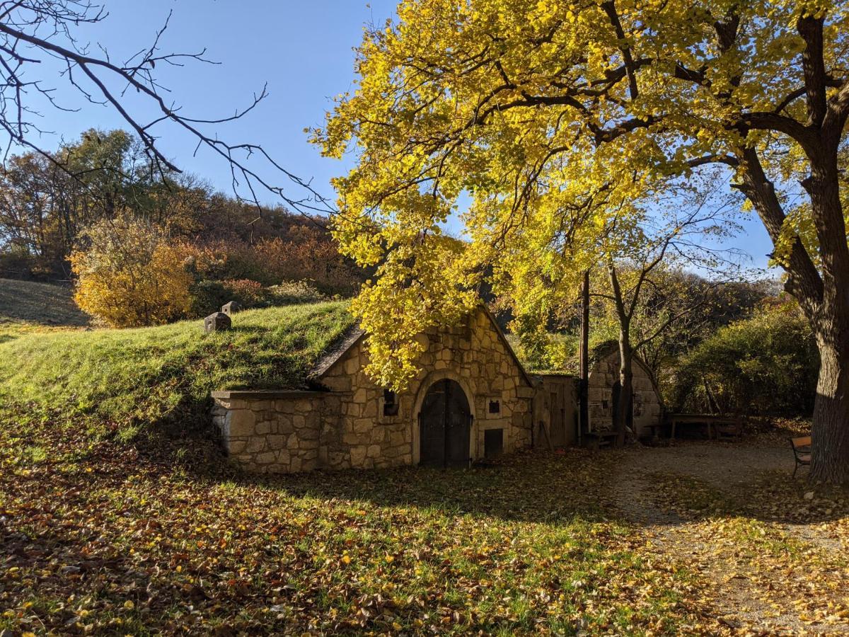 Bonito - Historischer Streckhof Шютцен-ам-Гебирге Экстерьер фото